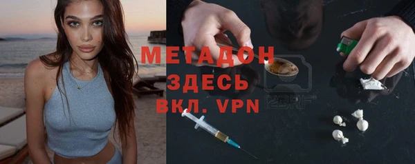 прущие грибы Арсеньев
