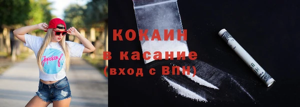 прущие грибы Арсеньев