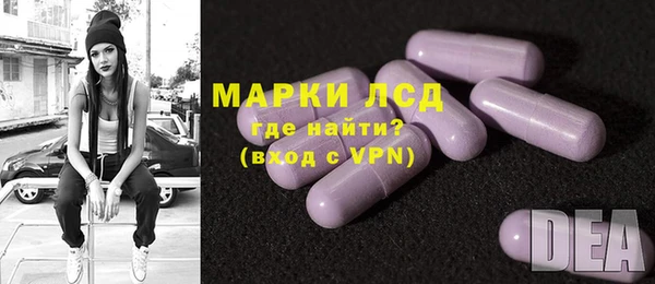 прущие грибы Арсеньев