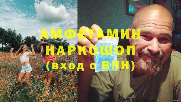 прущие грибы Арсеньев