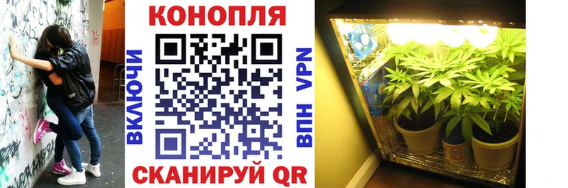 Шишки марихуана Amnesia что такое Усинск